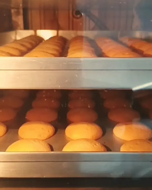 Bandejas de discos assando no forno